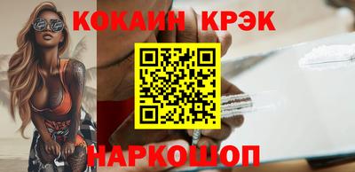 СК Кингисепп