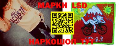 СК Кингисепп