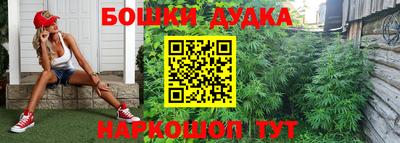 СК Кингисепп