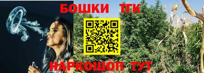 СК Кингисепп