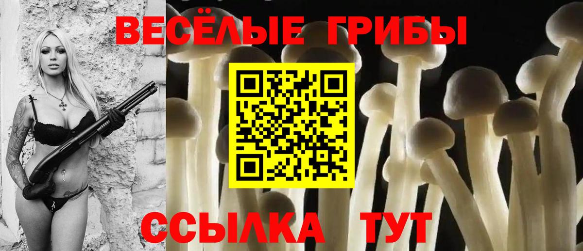 Галлюциногенные грибы прущие грибы Котовск
