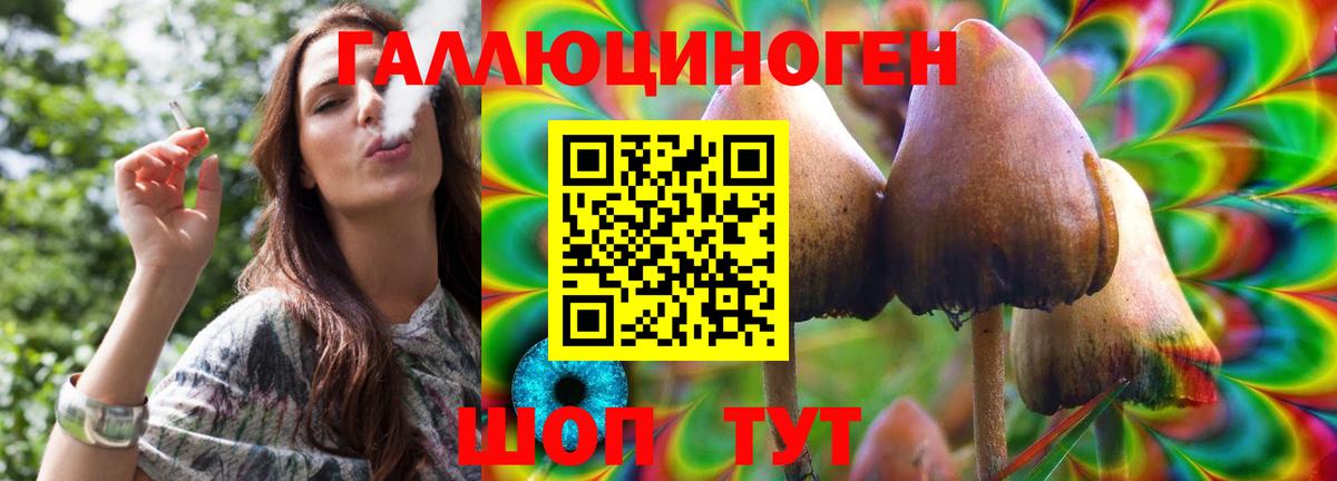 Котовск  Псилоцибиновые грибы Psilocybe  Галлюциногенные грибы GOLDEN TEACHER  где можно купить   Вход с VPN 